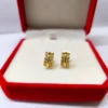 Argollitas hojitas strass